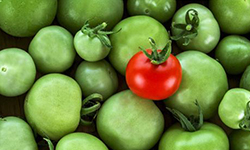 加盟投資創業項目什么好?